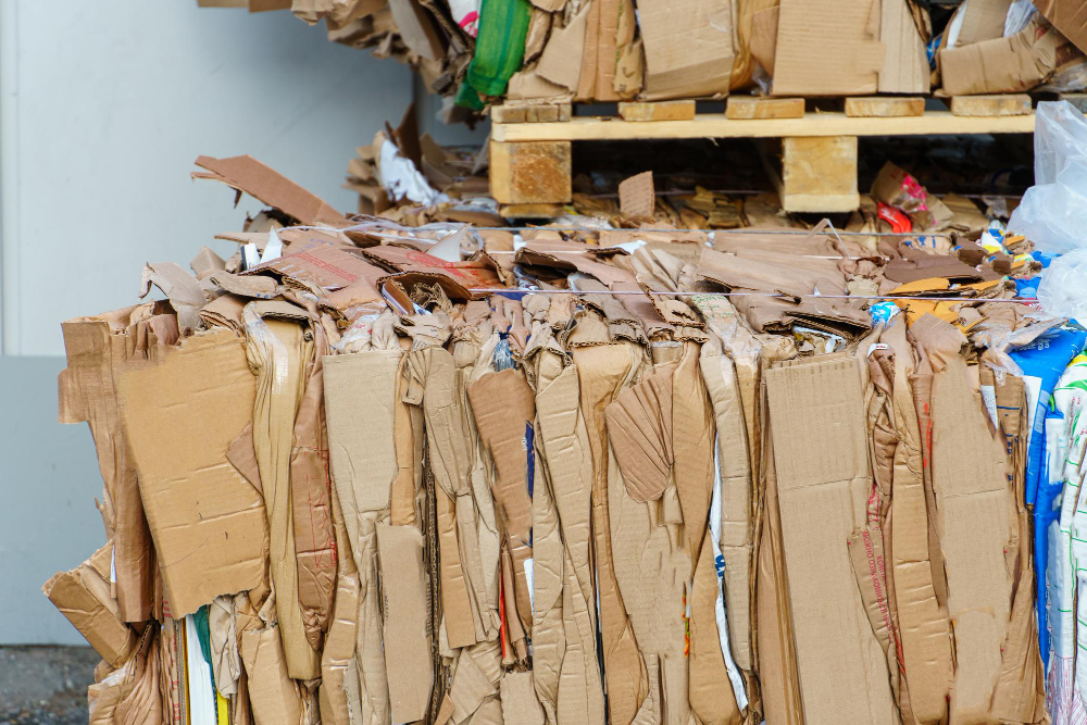 The Importance of Recycling Cardboard Waste