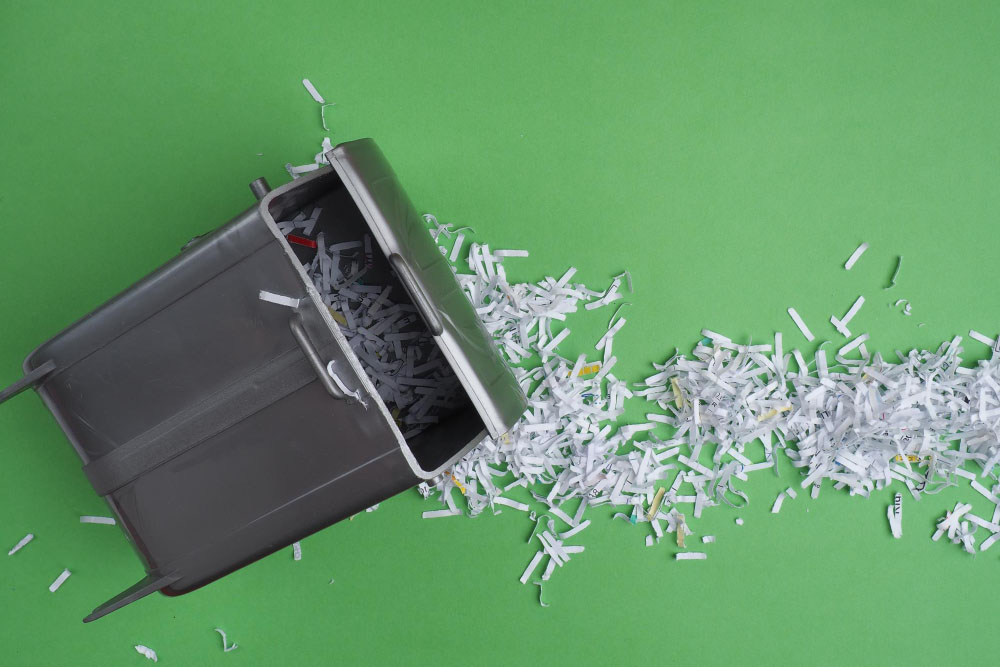 The Importance of Professional Shredding Services