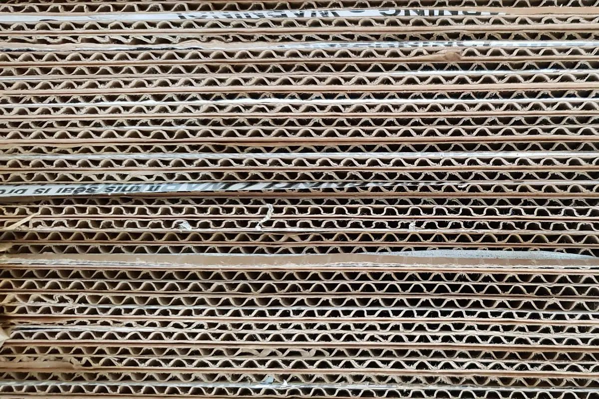 5 Ways To Ensure Effective Cardboard Recycling