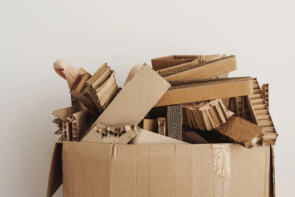 Cardboard Recycling Made Simple: Orlando's Complete Guide